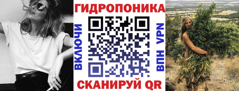 маркетплейс как зайти  Бор  Конопля OG Kush 